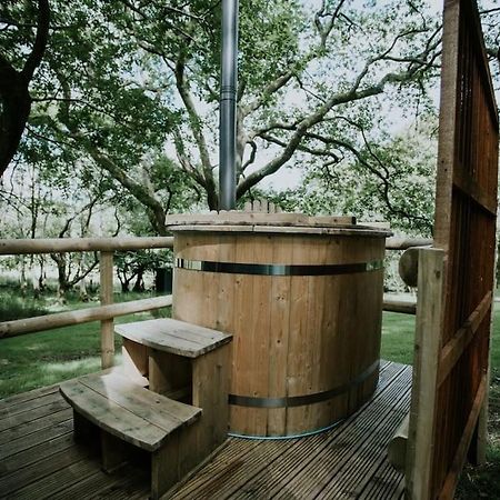 Oak Special Winter Offers - Hot Tub & Log Burner Apartment Barmouth Exterior foto